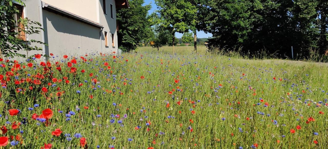 Ferienwohnung Ponlach Tittmoning Kültér fotó